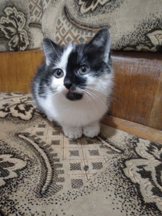 Немного милоты