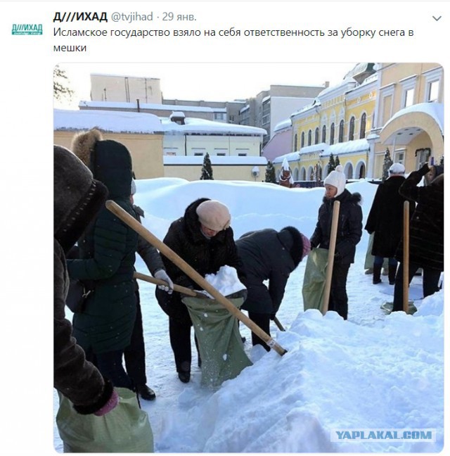 Чернушка на пятничку
