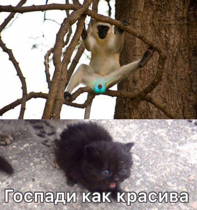 Кого звать, если...