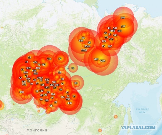 Экологи не верят данным о тушении пожаров в Сибири: «Совершенно фантастический результат!»
