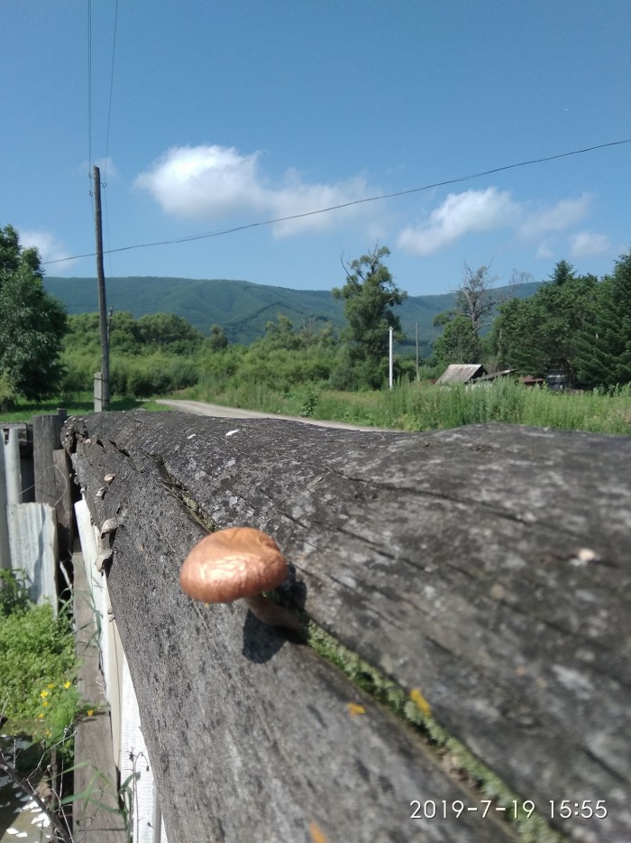 Сам себе фотограф