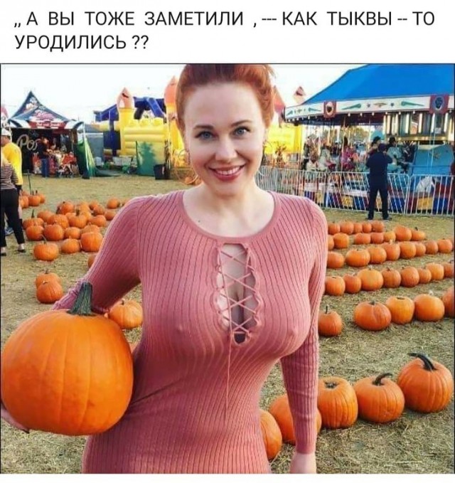 Картинки ниАчем