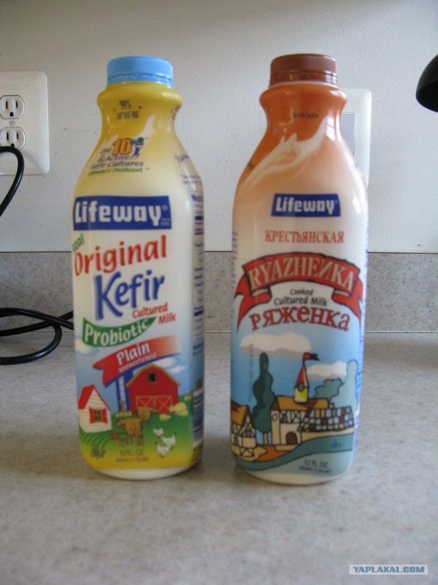 Русский  кефир за границей