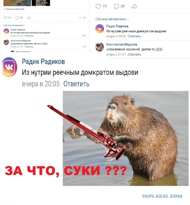 Истории про сома