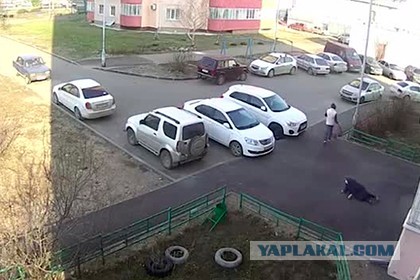 Ограбленная из-за продуктов пенсионерка умерла