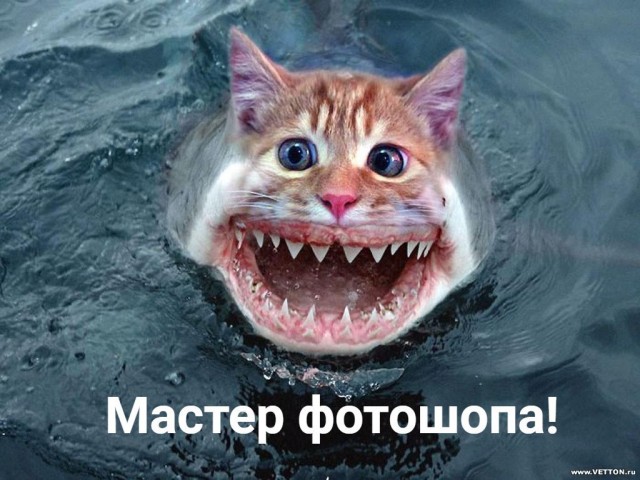 Так себе картинки #11