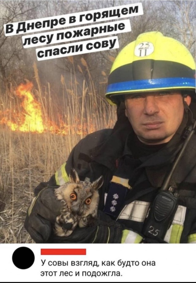 Бредзона 07.07.2020