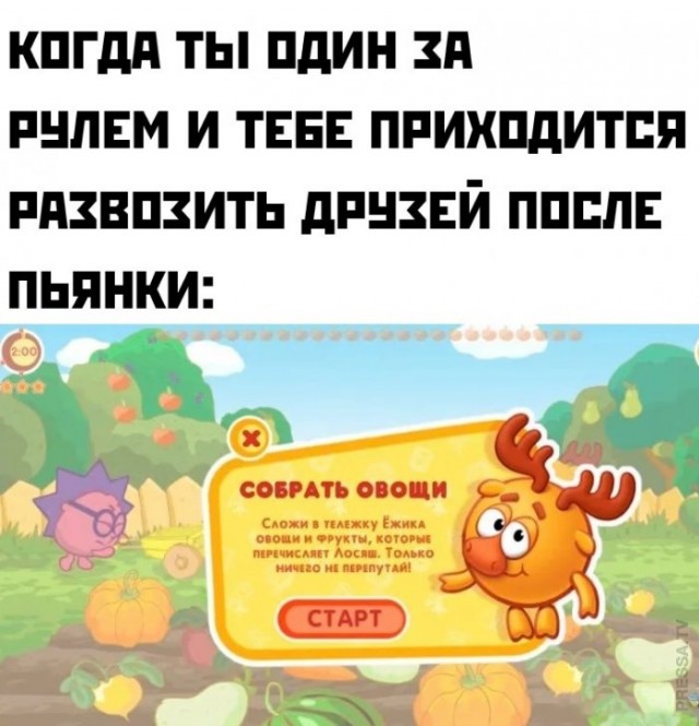 Немного картинок для настроения 01.10.20