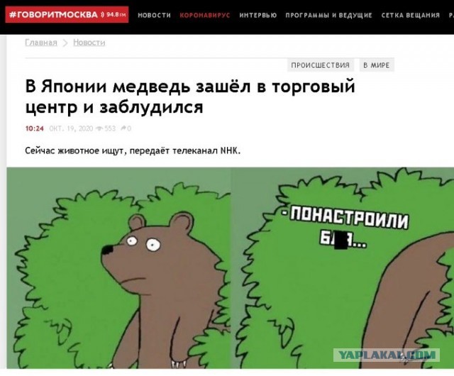 Бредзона 23.10.2020