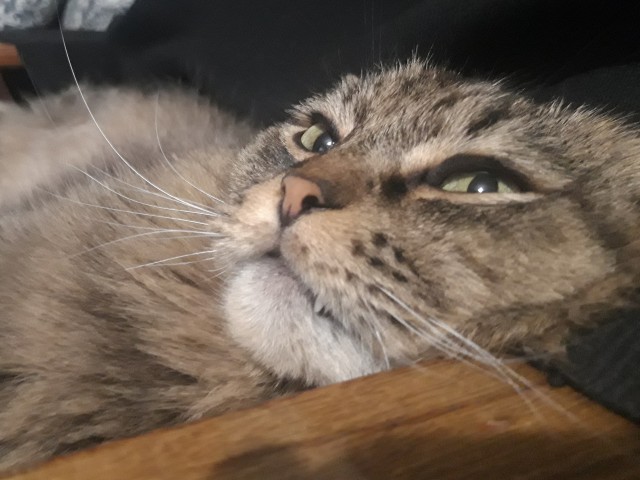 Пополнение!