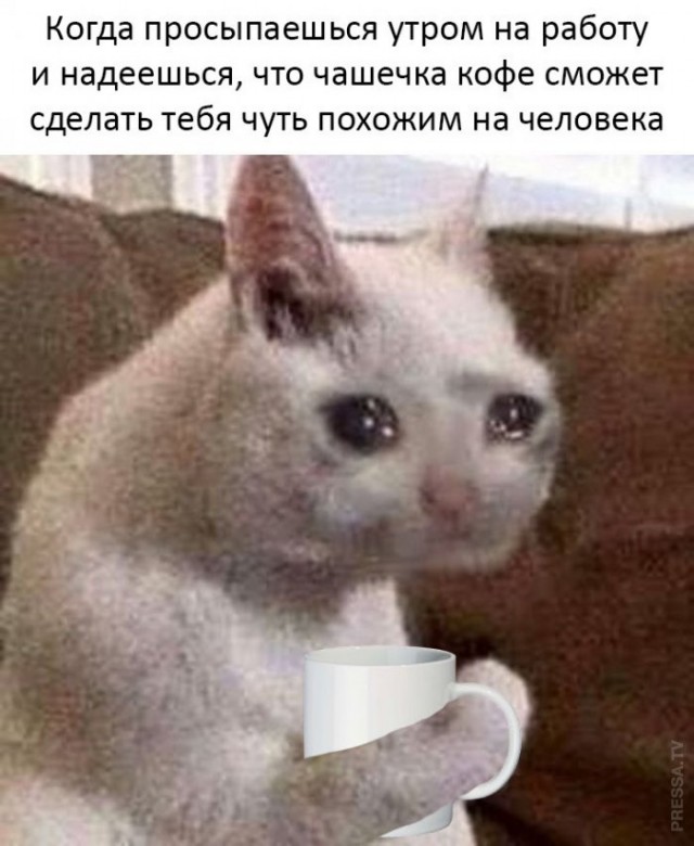Картинки и мемы для настроения 010