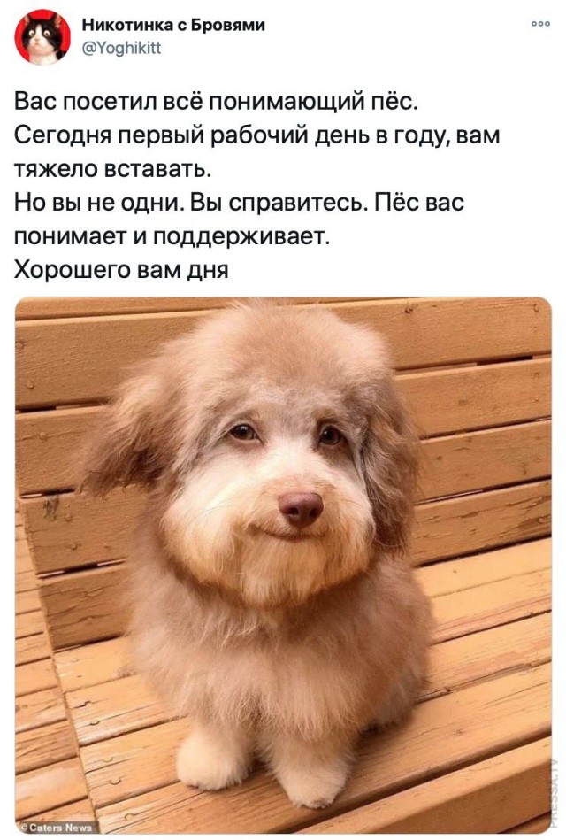 Картинки и мемы для настроения 011