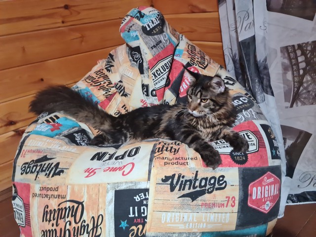 Котовторник. Добавляйте своих