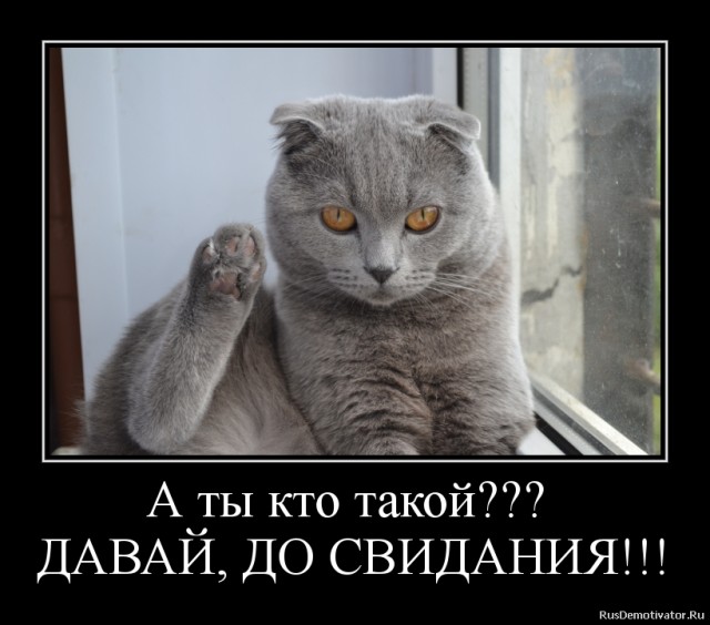 Нарвского накачал алкоголем. Как Граблю найти, не подскажете, камрады?