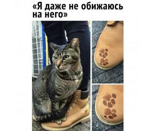 Картинки и мемы для настроения 28.04.2021