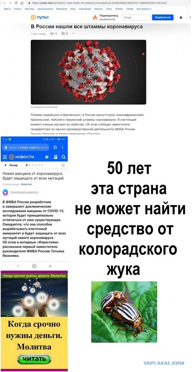 Суд Португалии вскрыл гигантские приписки в связи со смертностью от ковид: 152 человека, а не 17 000 заявленных властями