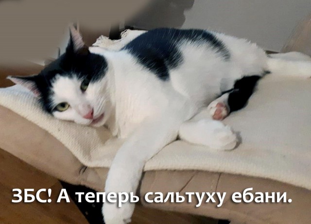 Чёткий, резкий, дерзкий, серьезный
