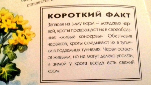 Картинки и мемы для настроения 003
