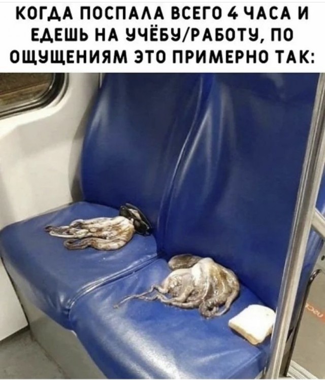 Весёлый полтишок 02.10