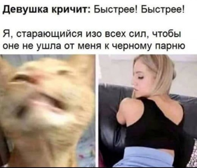 Пост деградации. Мой любимый пост. Категории Б