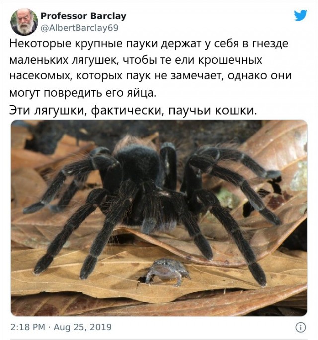 Пятница. Вечер. Картинки всякие #13