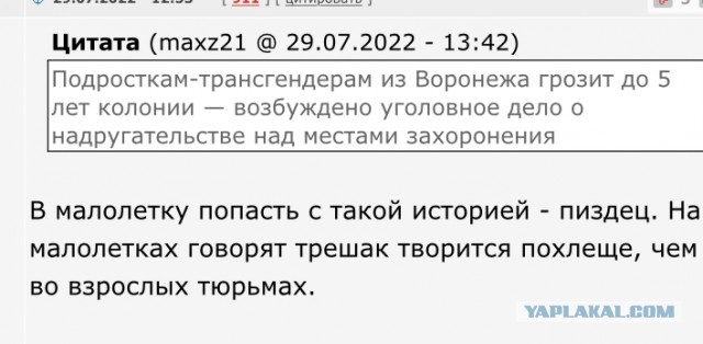 СК возбудил дело из-за осквернения могил подростками в Воронеже