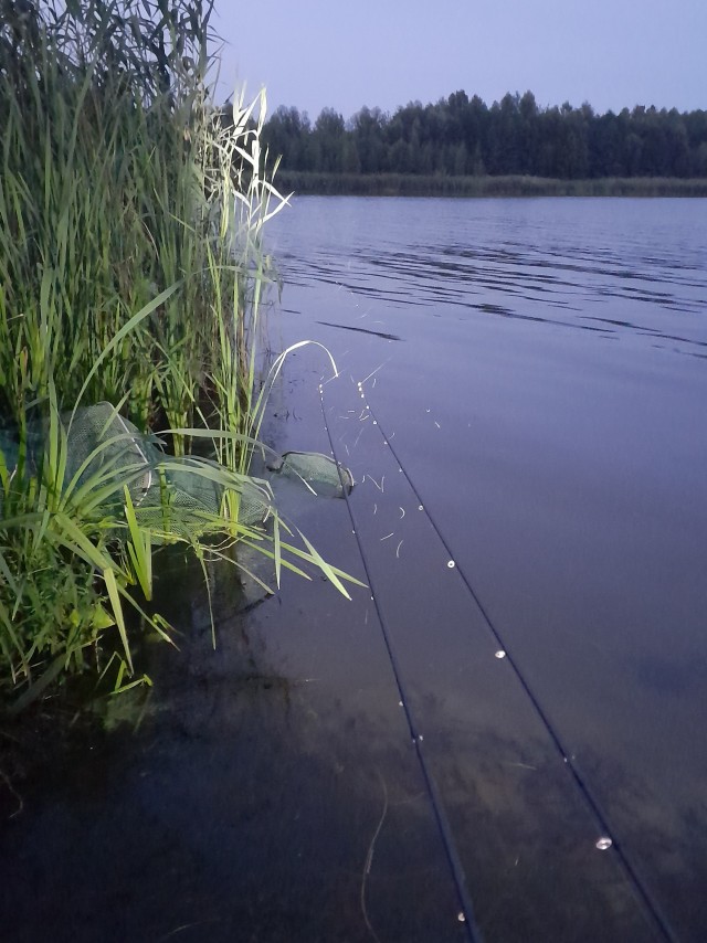 Ждет рыбов