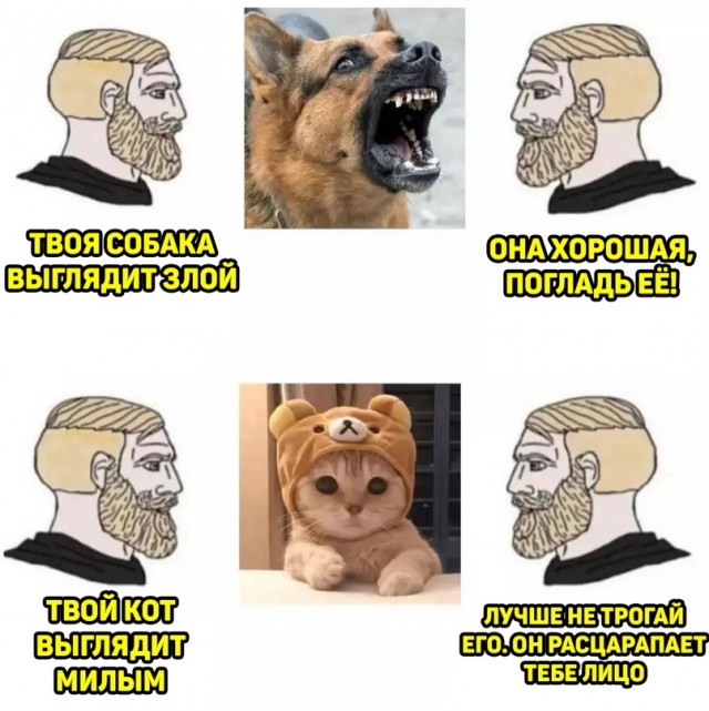 Картинки и мемы, всем хороших выходных
