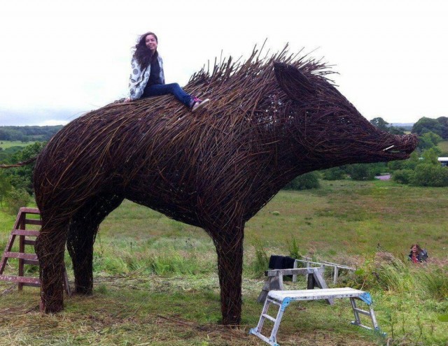 Картинки всякие, развесёлые и не очень.