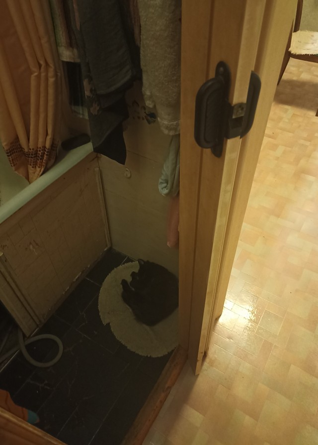 Котовторник 18.10.22