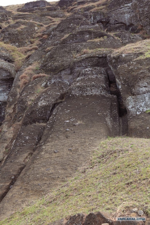 Южно-Американский дневник. остров Пасхи