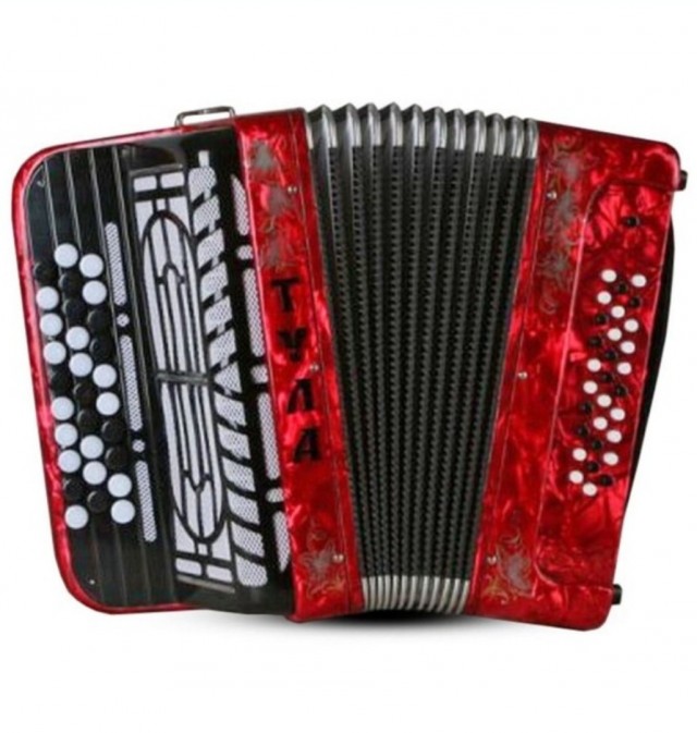 Министерством обороны Российской Федерации организован сбор баянов для мобилизованных