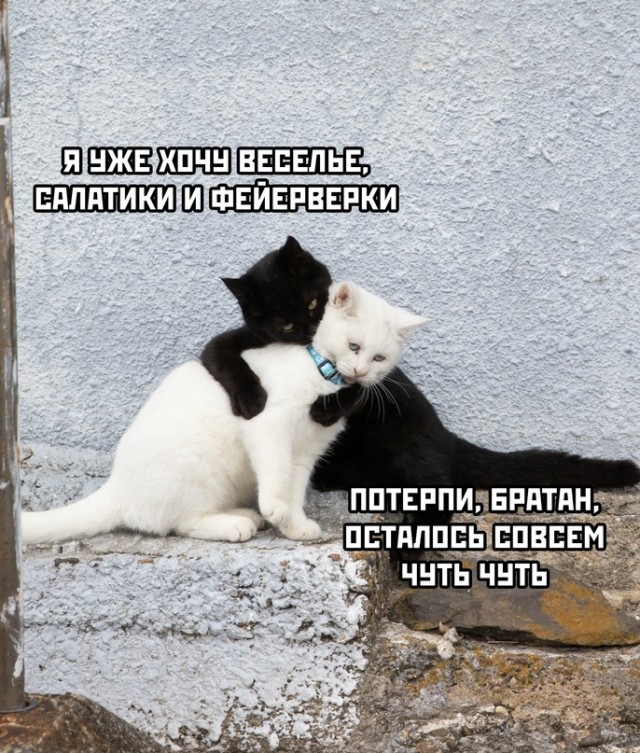 Картинки и мемы для настроения - 125