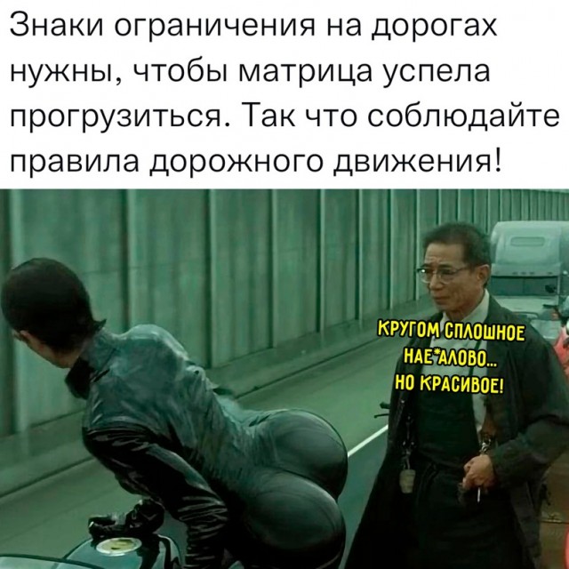 Весёлый полтишок 31.01.23