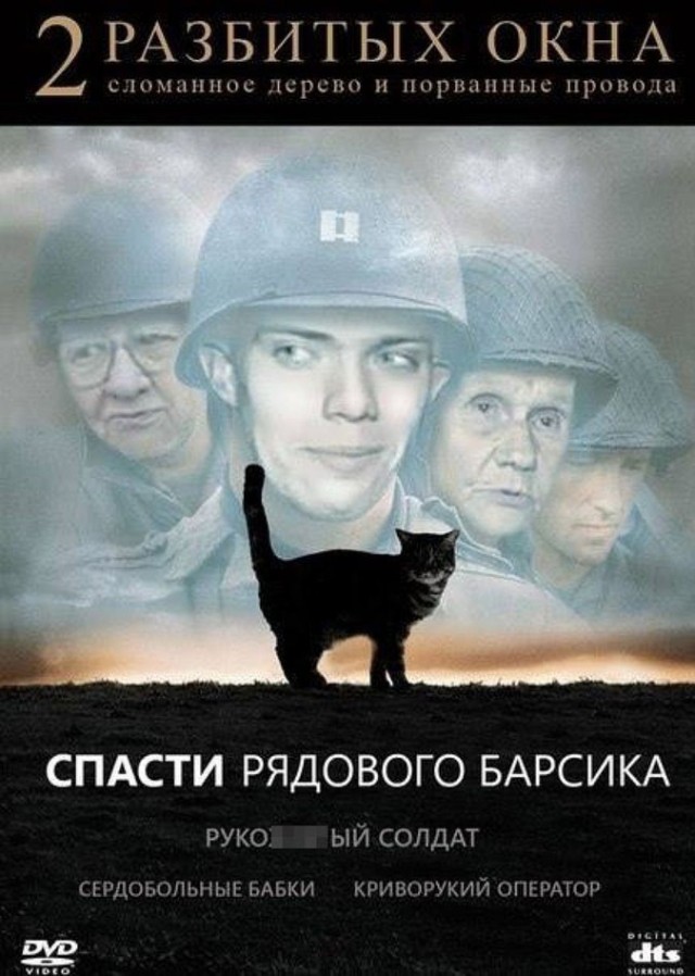 История о том, как в Воронеже кота спасали