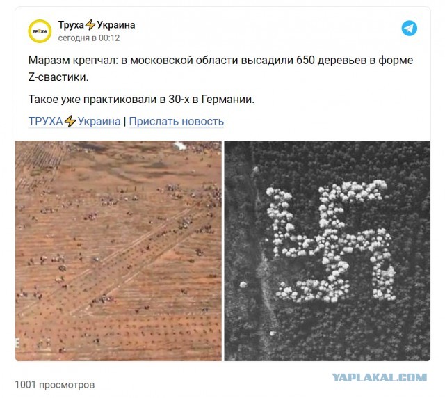 Мы помним