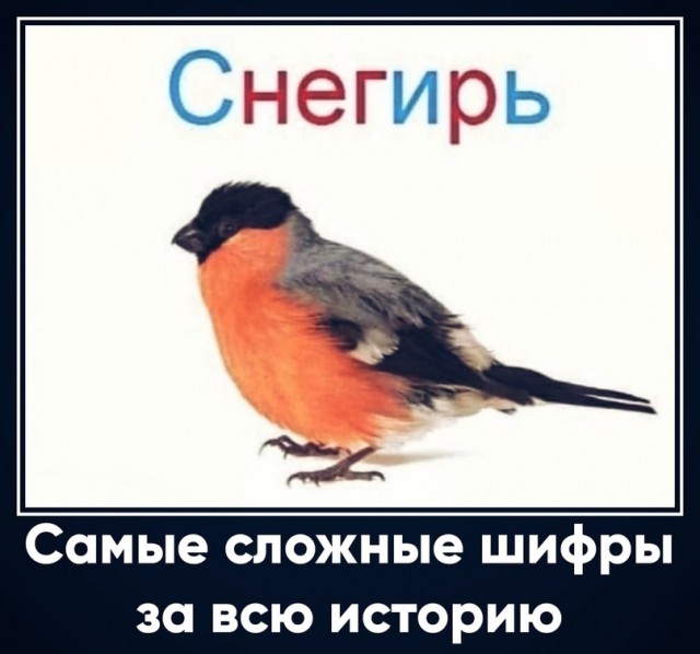 Картинки и мемы, всяко разно - 183