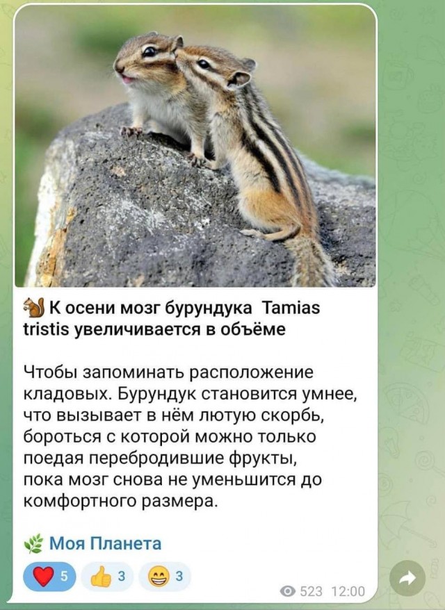 Рязань - Сасово из кабины машиниста