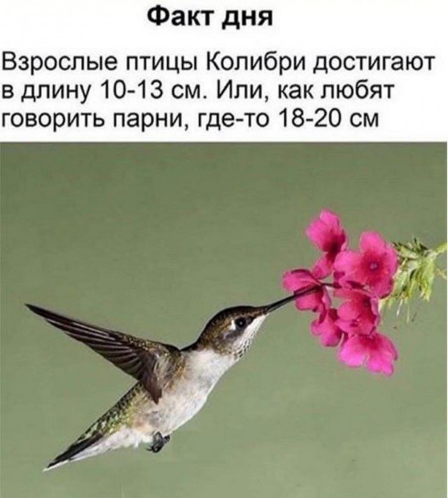 Всего понемногу. От 29.01.24
