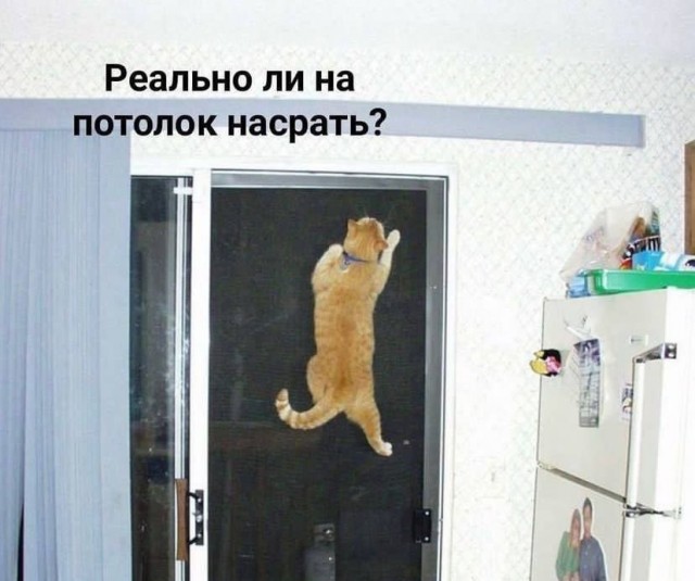 Завалялось тут случайно немного забавных картинок