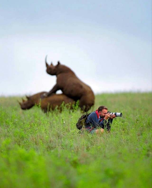 ФотоВинегрет