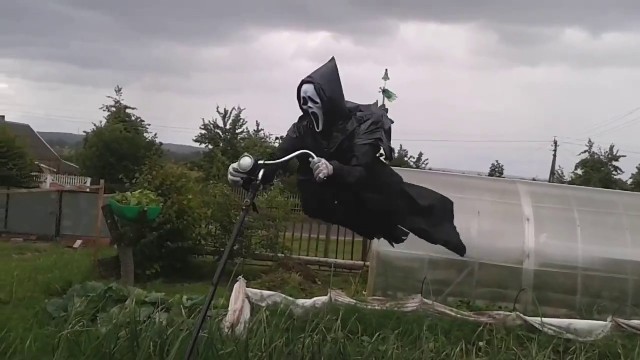 Это вам не садовые гномики...