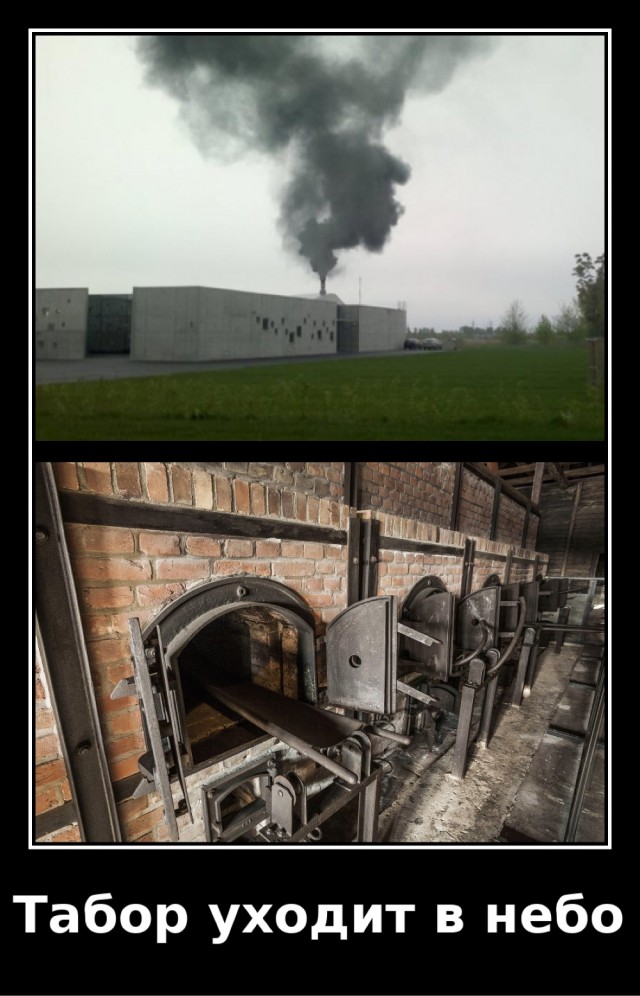 Цыгане напали на инспекторов ДПС в Верхних Осельках