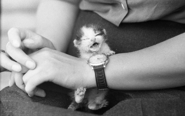 Фотографии из прошлого нашей страны – 77