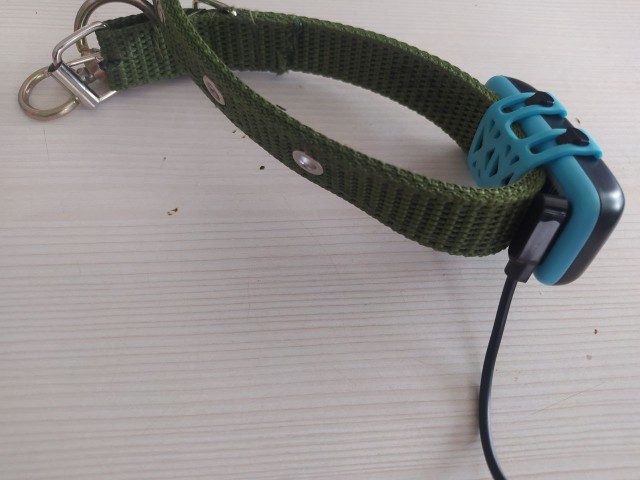 Веселая ферма: GPS трекеры для собак