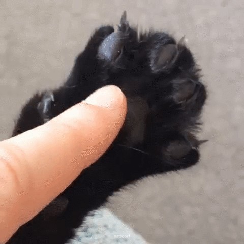 Ледяные игры
