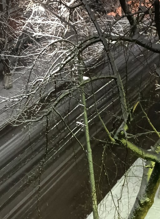 Хоть какая-то зима в Саратове