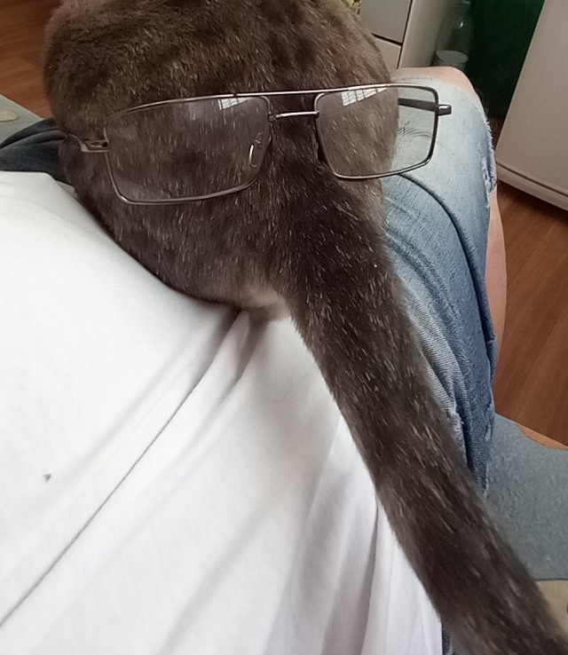 Сама пришла.