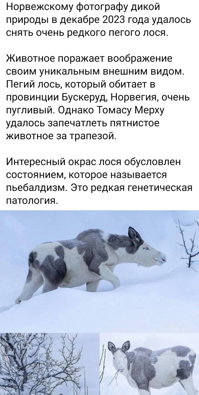 Картинки разные с надписями и без