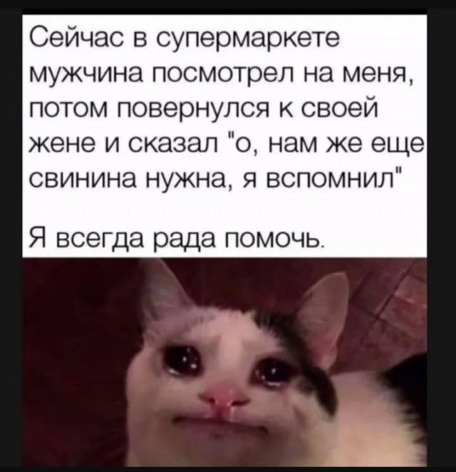 Смешные картинки с надписями и планы на лето 2025
